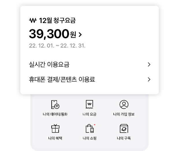 청구요금 예시